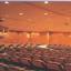FORUM CONGRESS & TRAVEL