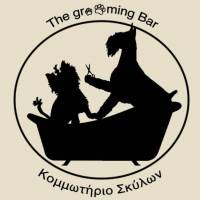 Μπρίνα Κωνσταντίνος Τζουμερκιώτη
