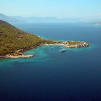 ΝΕΚΤΑΡΙΟΣ ΚΟΚΟΛΗΣ