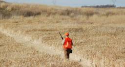ftd-upland-bird-hunt-630x339